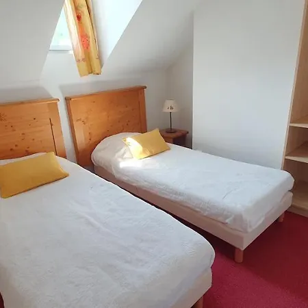 T4 Duplex A De Tourisme 4* * 维耶尔奥尔