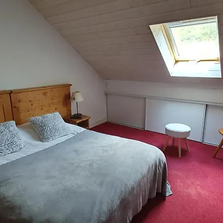 T4 Duplex A De Tourisme 4* * 维耶尔奥尔